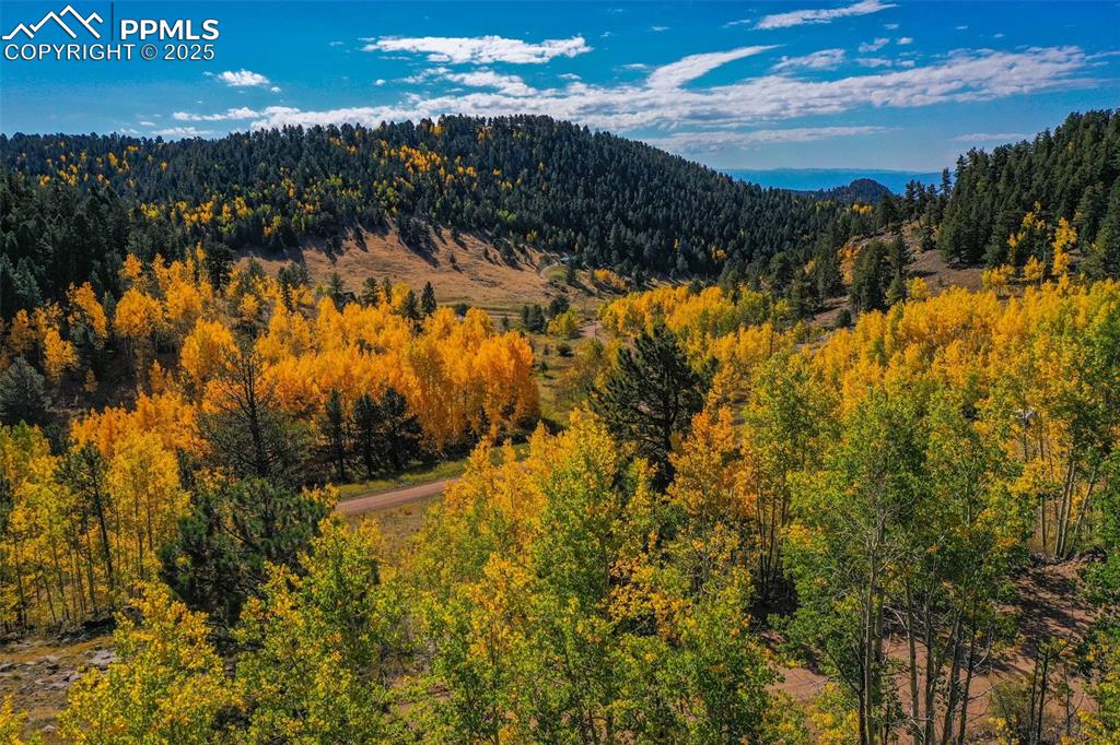 Image 15 of 50: View