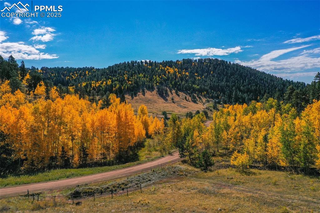 Image 18 of 50: View