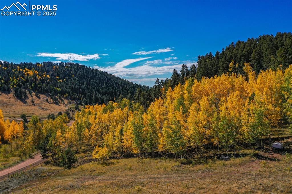 Image 19 of 50: View