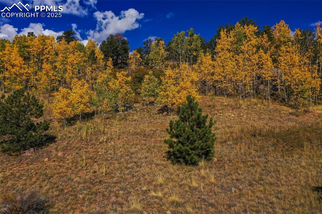 Image 20 of 50: Other