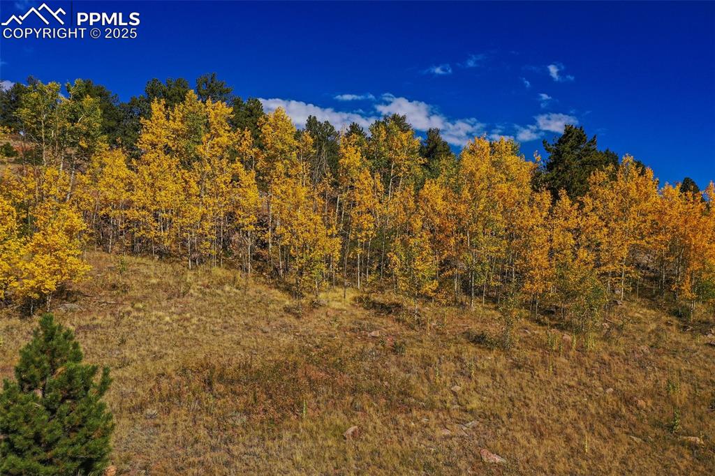 Image 21 of 50: Other