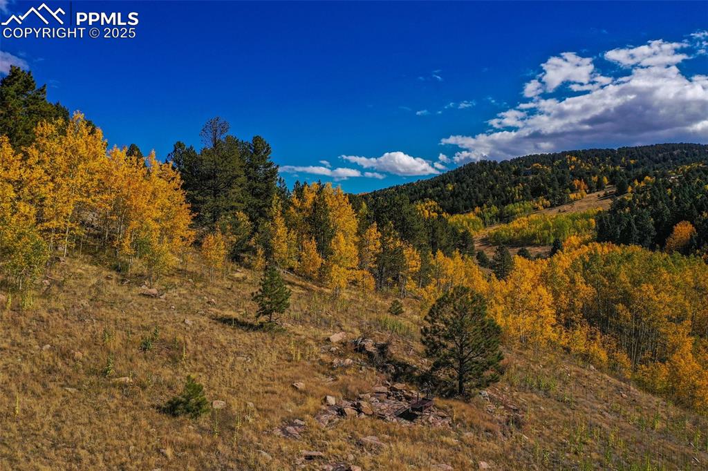 Image 22 of 50: View