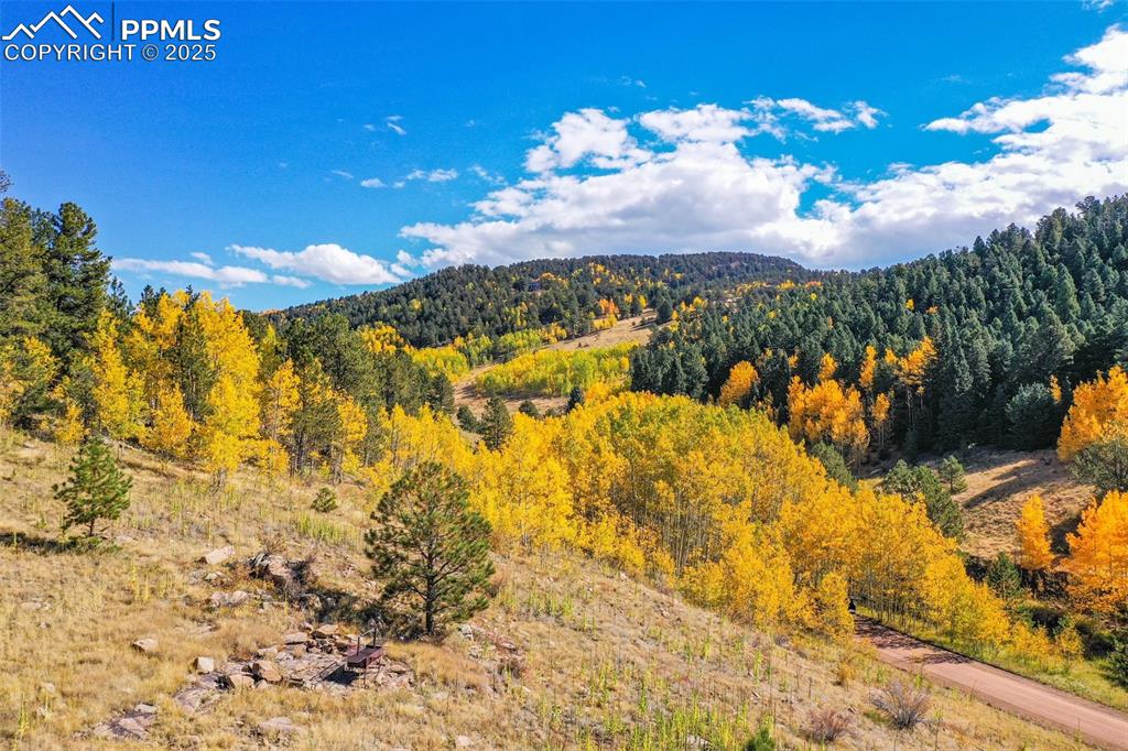 Image 23 of 50: View