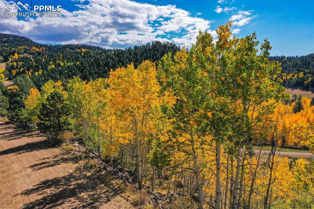 Image 24 of 50: View