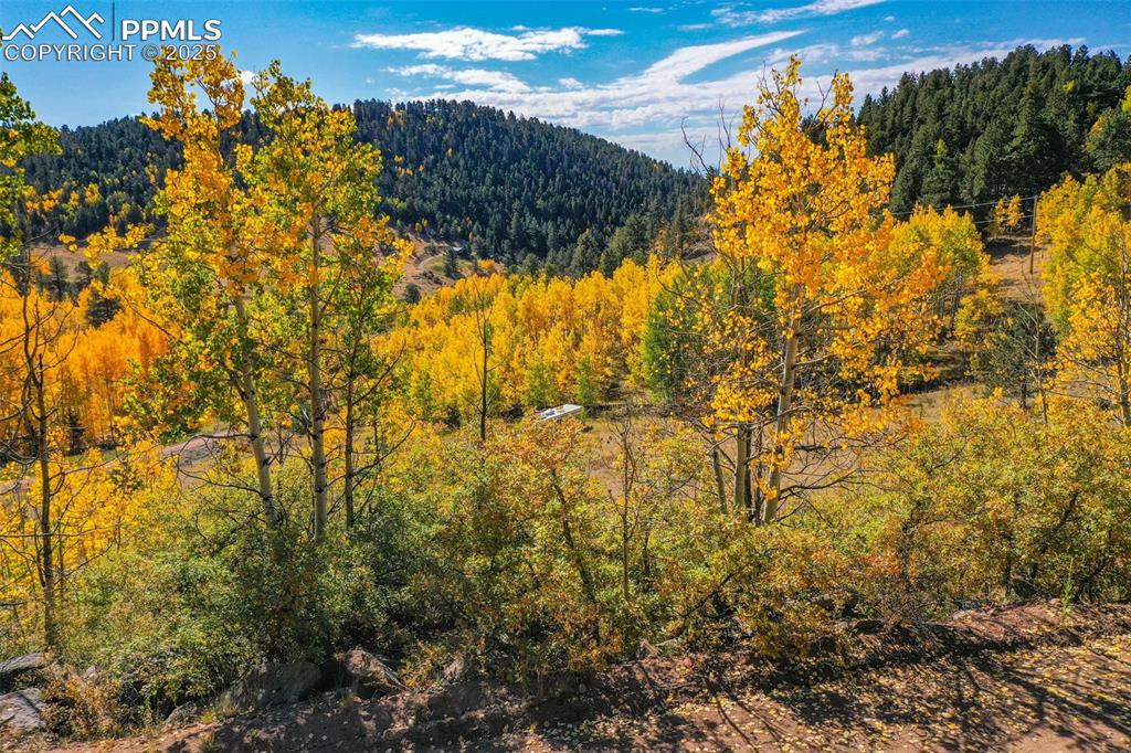 Image 25 of 50: View