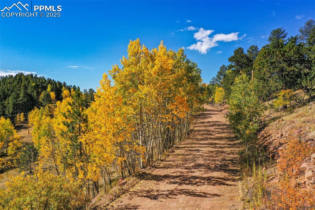 Image 27 of 50: Other