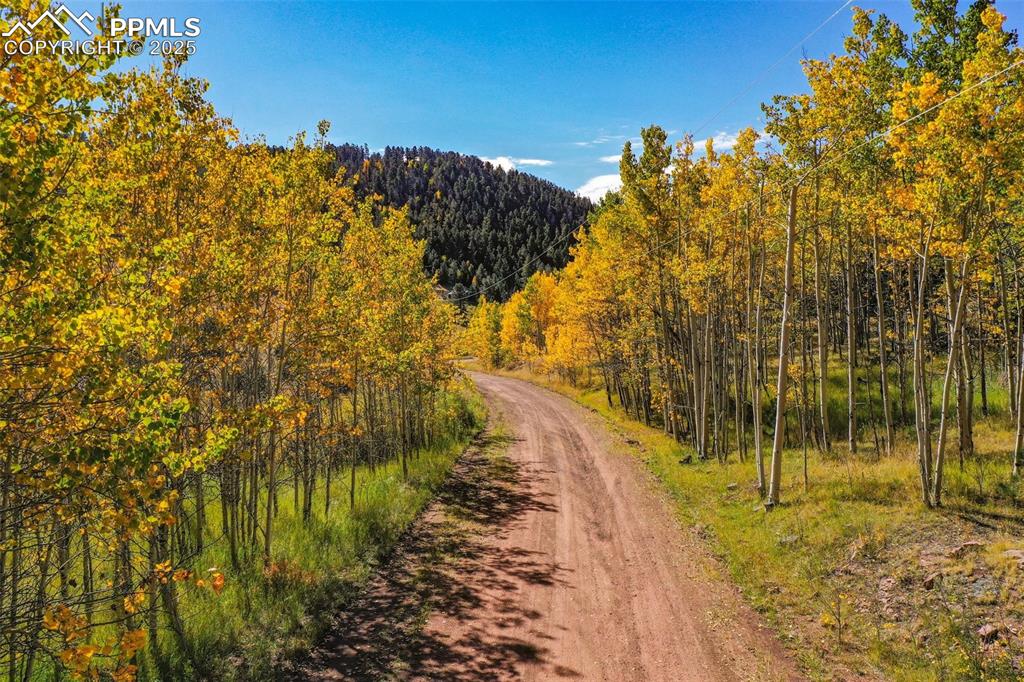 Image 32 of 50: Community