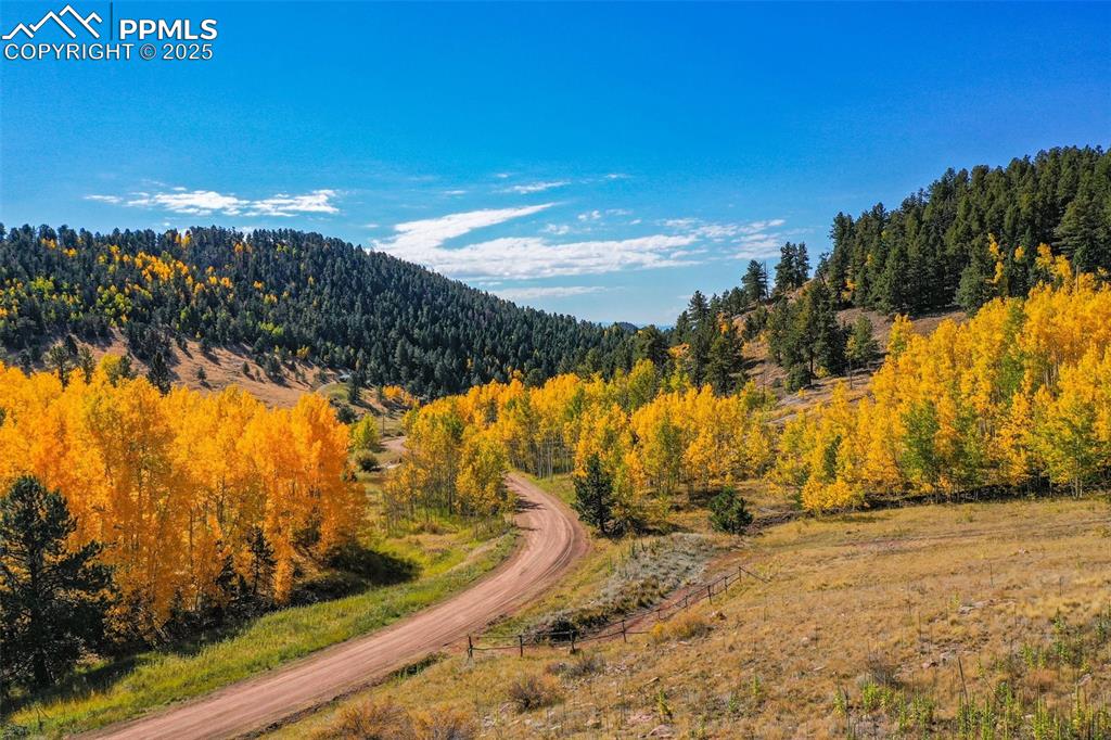 Image 38 of 50: View