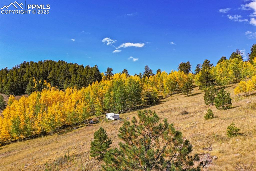 Image 39 of 50: Other