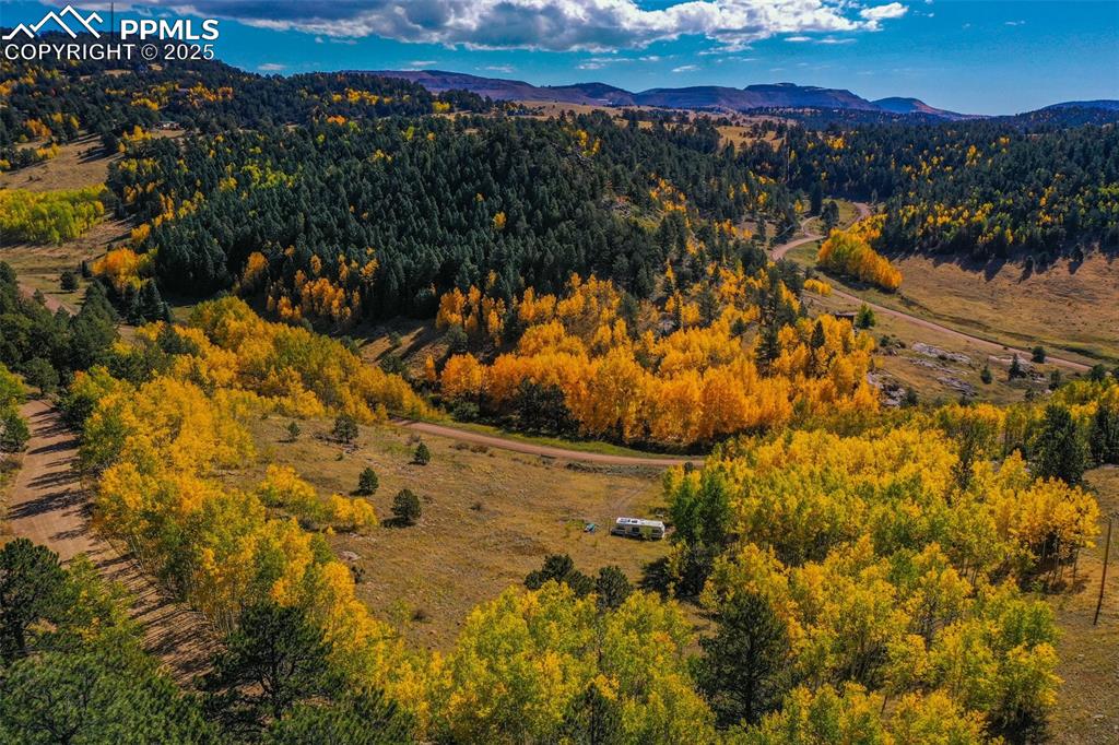 Image 4 of 50: Other