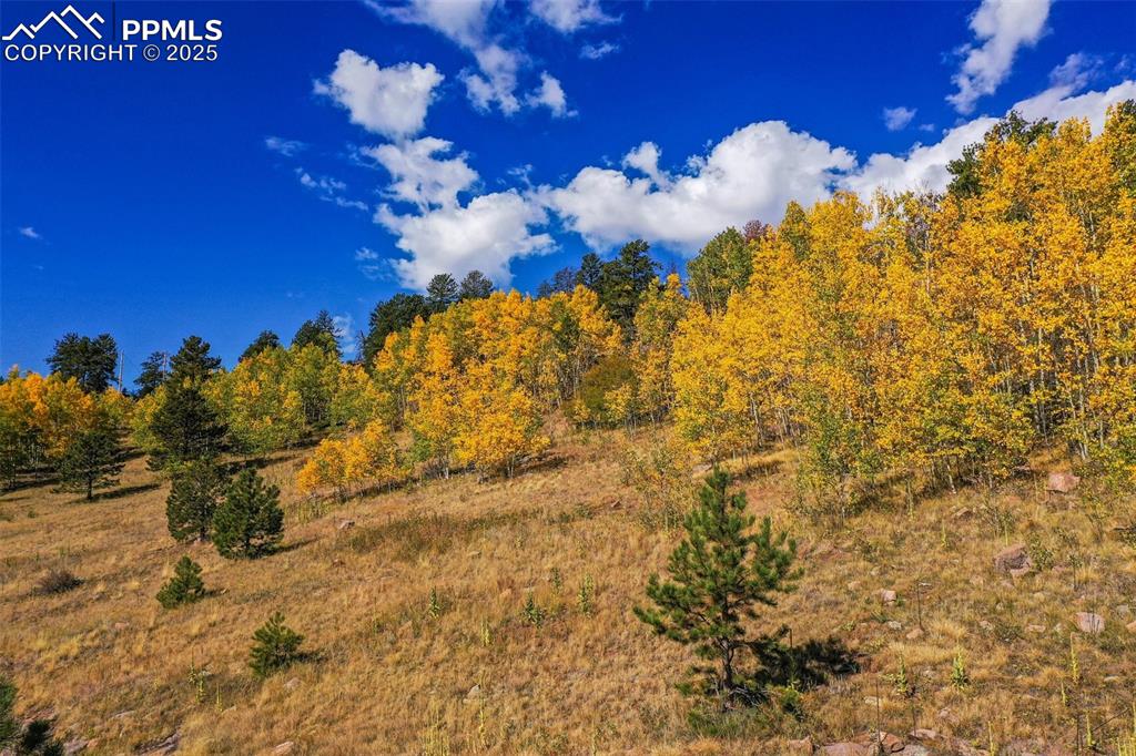 Image 40 of 50: Other