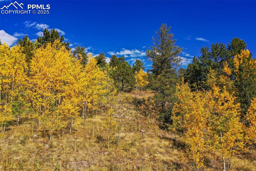 Image 41 of 50: Other