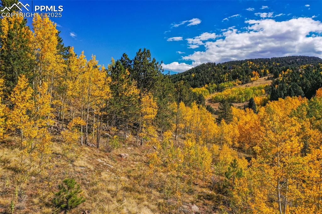 Image 42 of 50: View