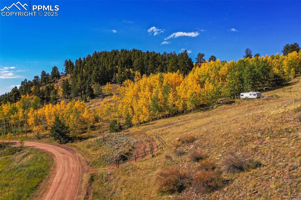 Image 43 of 50: Other