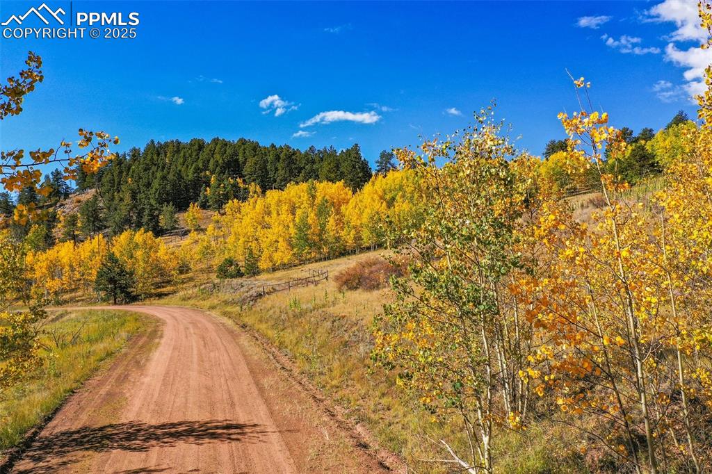 Image 44 of 50: Community