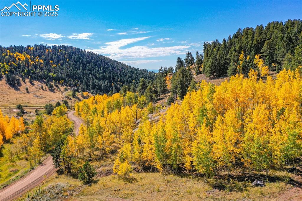 Image 46 of 50: View