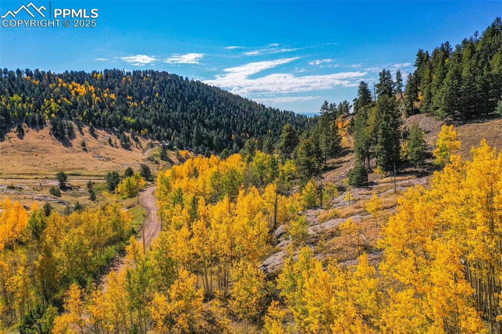 Image 47 of 50: View