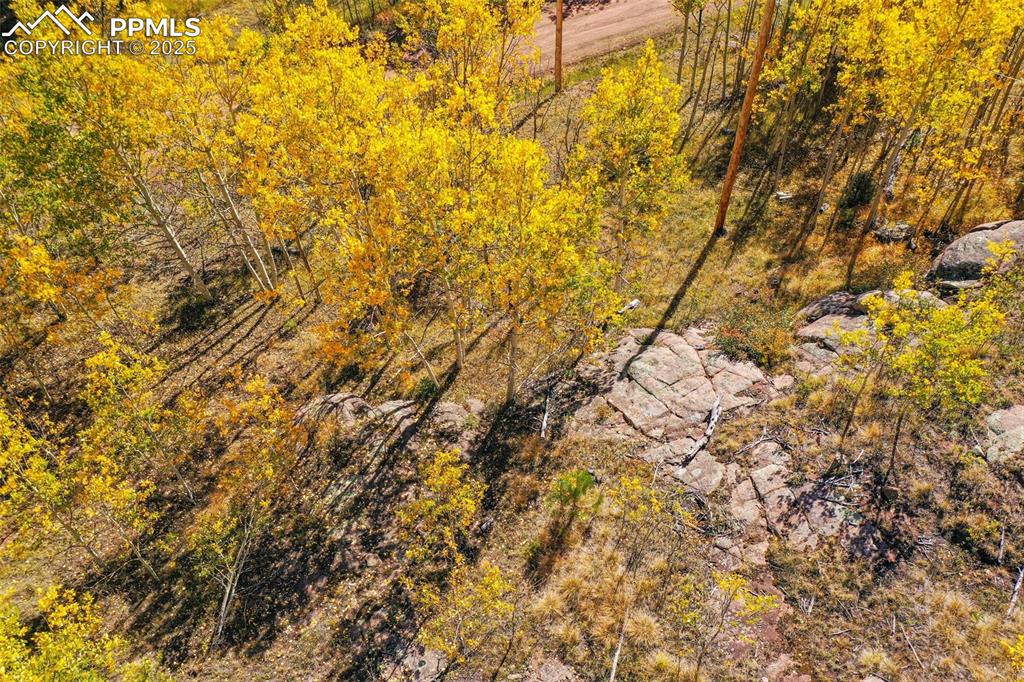 Image 48 of 50: Aerial View