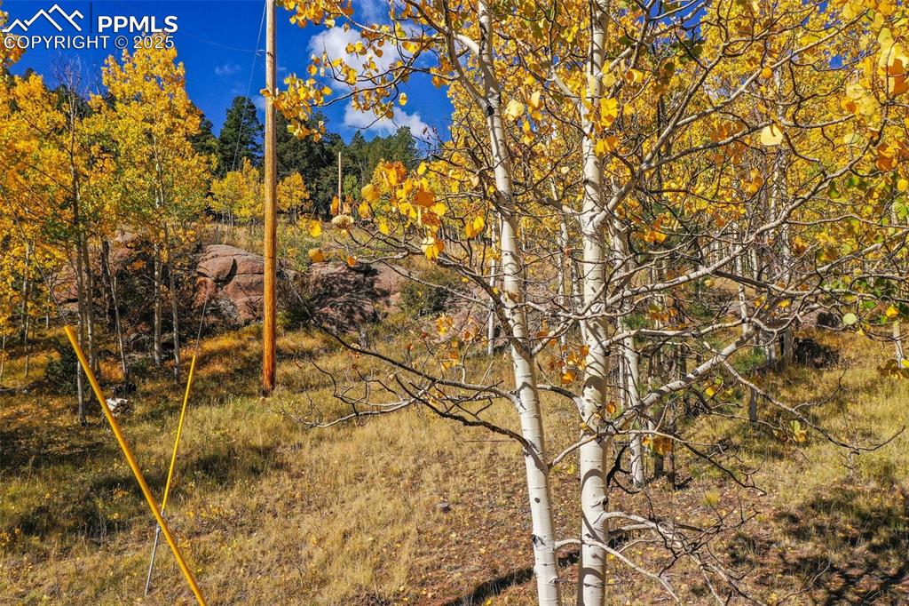 Image 49 of 50: Other