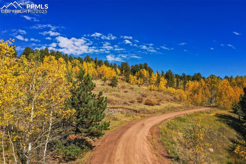 Image 50 of 50: Other