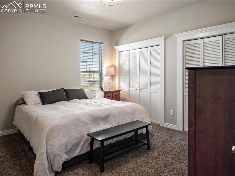 Image 37 of 48: Bedroom featuring two closets and carpet floors