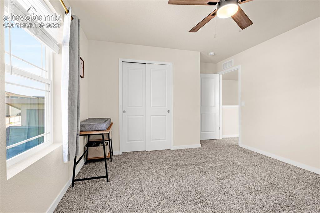 Image 19 of 50: Plush carpeting, neutral wall colors, dual-pane window, white bi-fold close