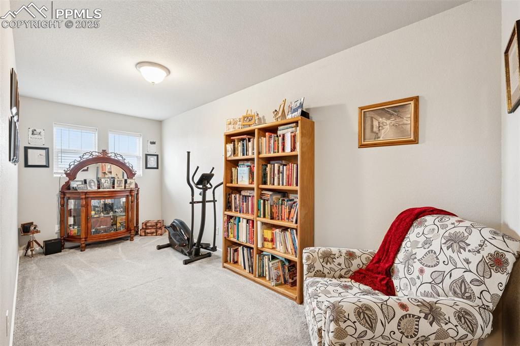 Image 27 of 40: Living area with carpet floors and a textured ceiling