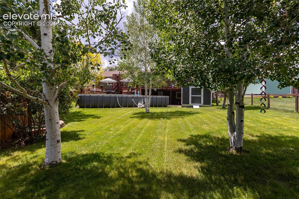 Image 37 of 49: Yard