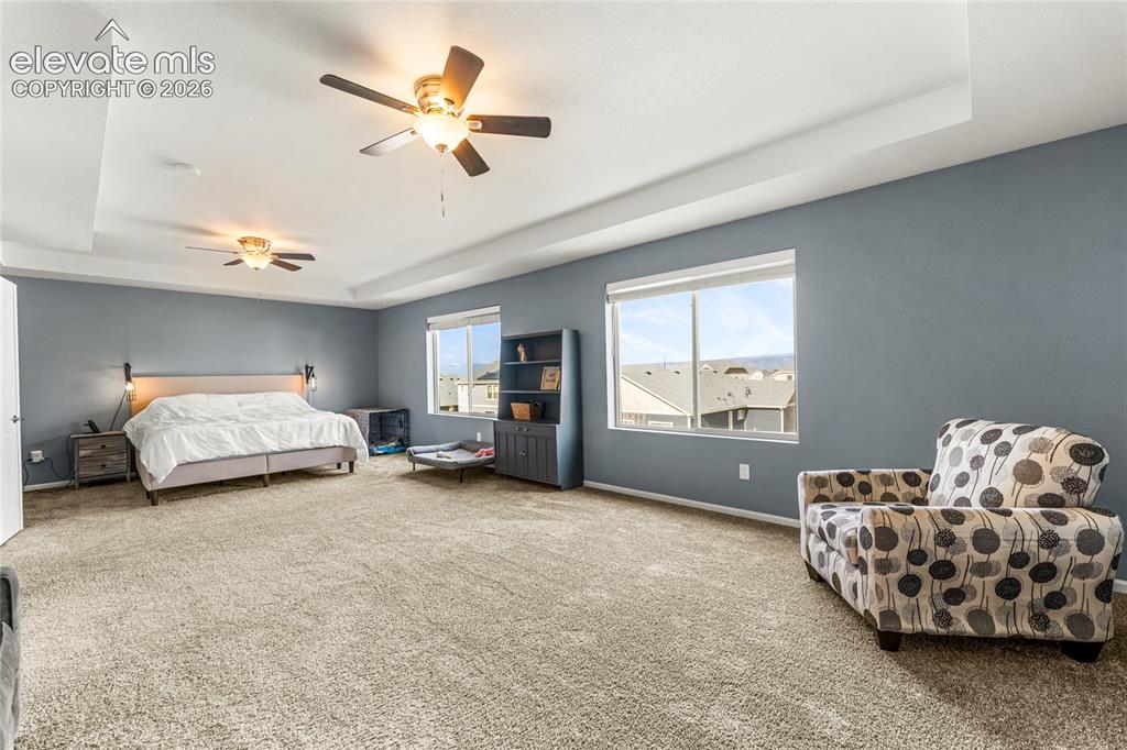 Image 17 of 32: Walk-in closet featuring carpet flooring, built-in shelving, and multiple c