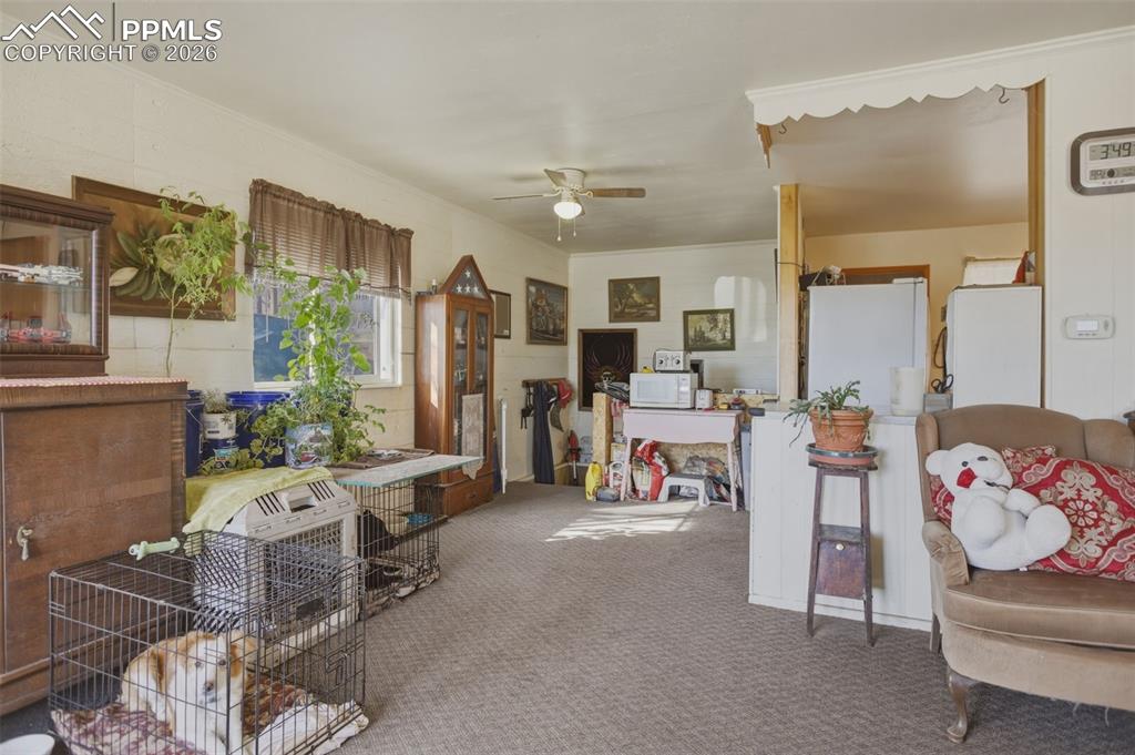 Image 6 of 24: Other