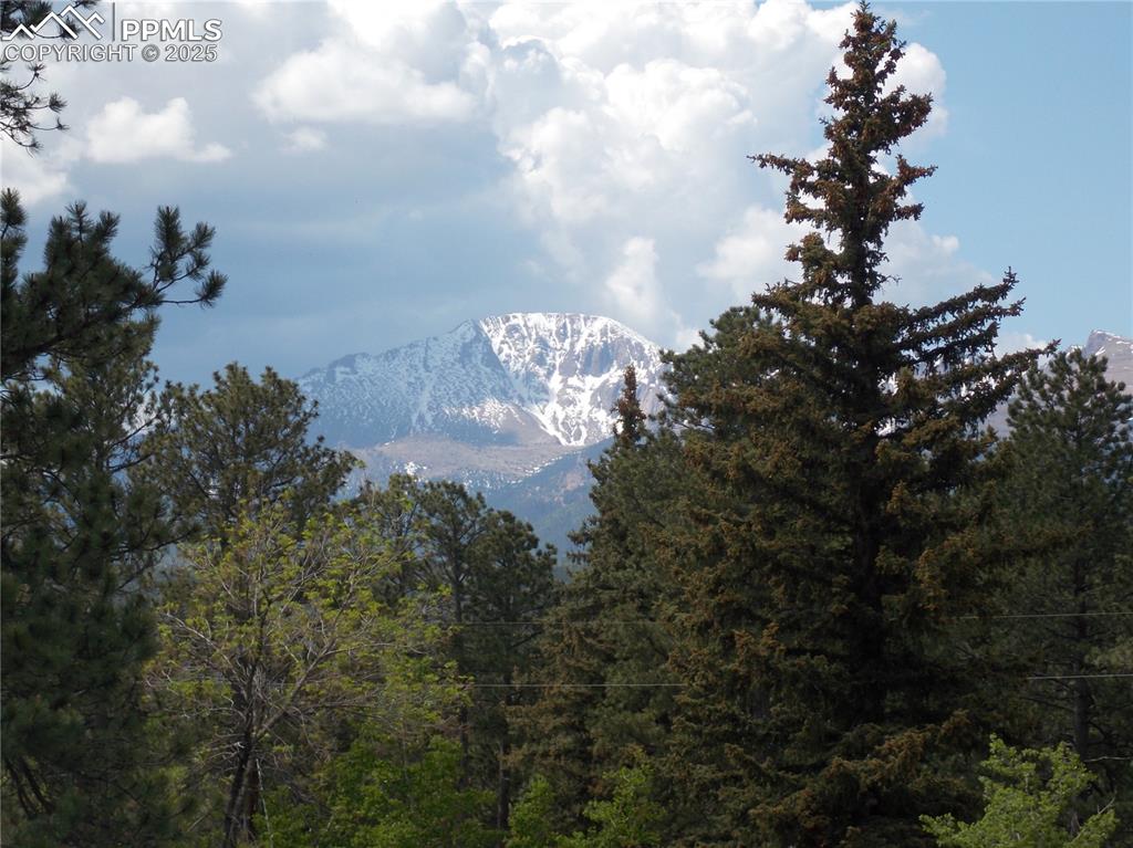Image 3 of 20: View