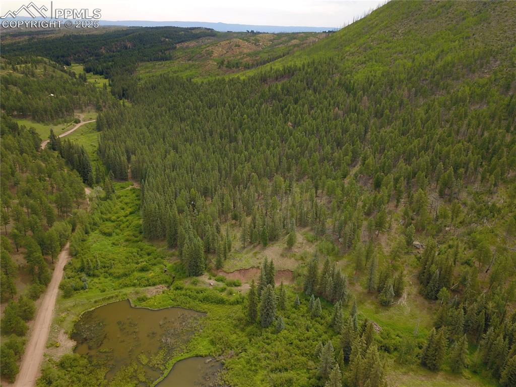 Caption: Aerial View