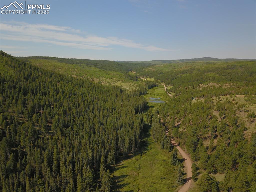 Image 11 of 41: Aerial View