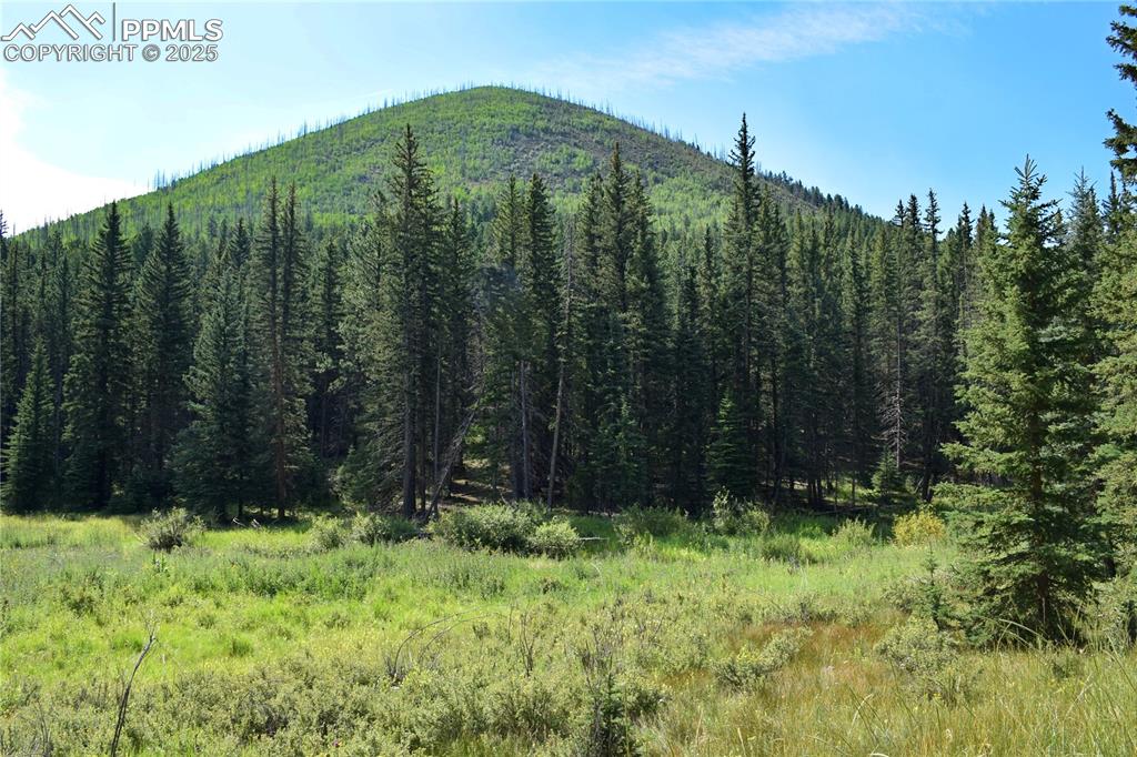 Image 14 of 41: View