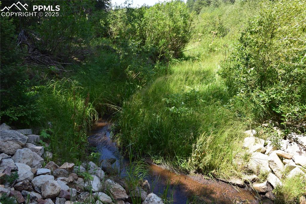 Image 15 of 41: Other