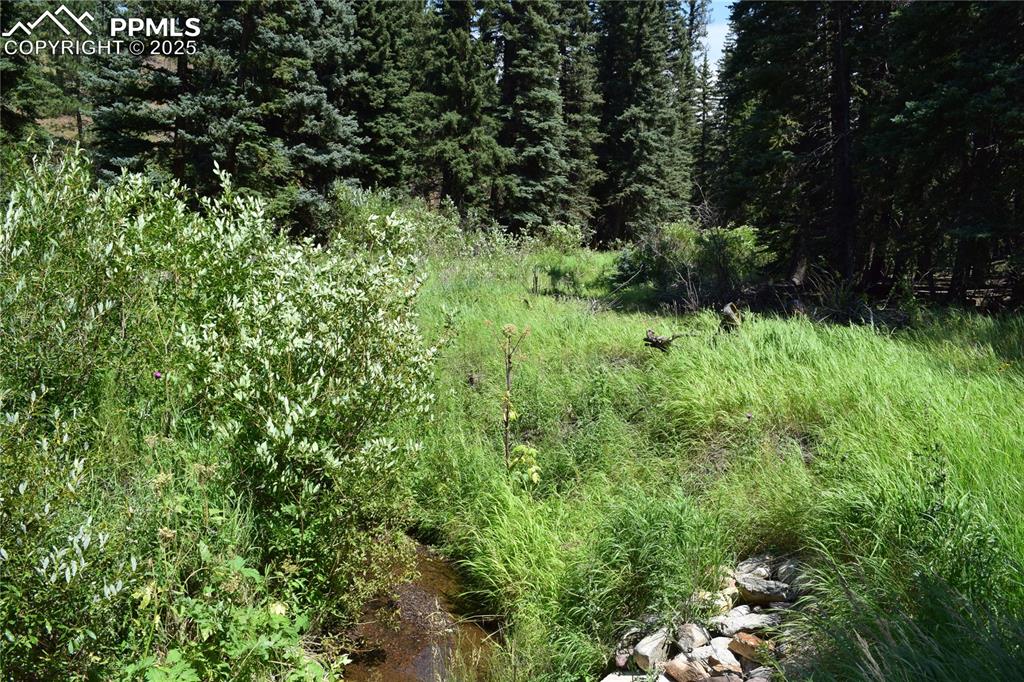 Image 16 of 41: Other