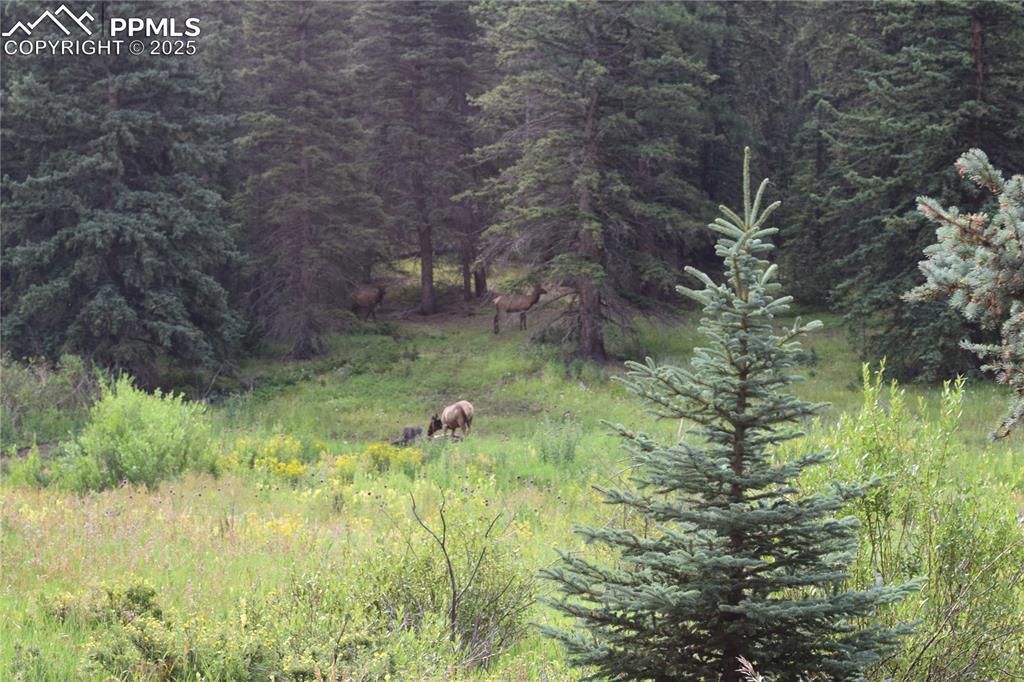 Image 19 of 41: Other