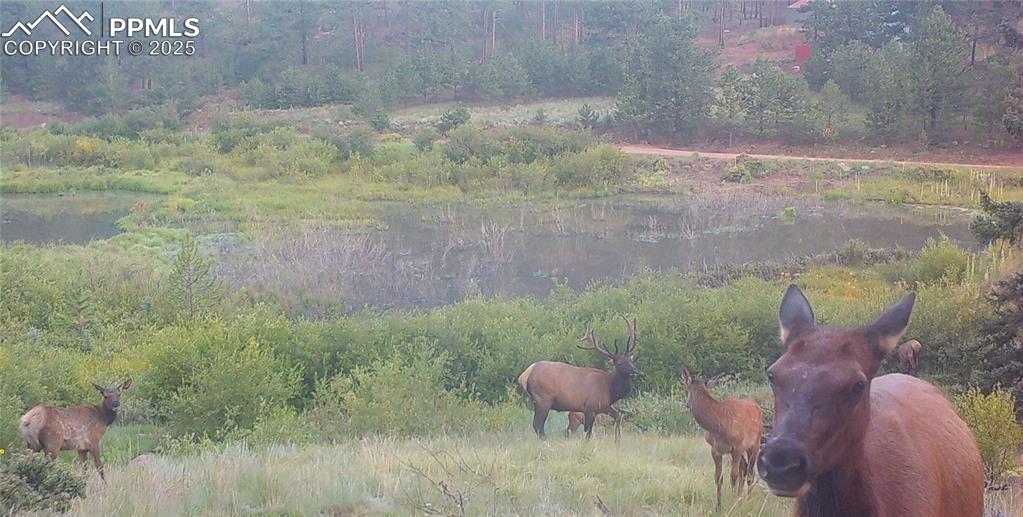 Image 20 of 41: View