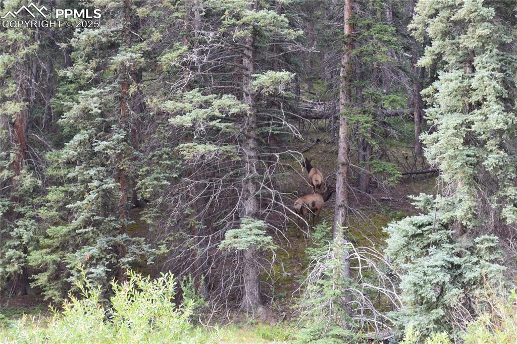 Image 21 of 41: Other