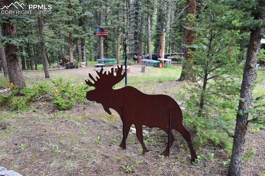 Image 34 of 41: Yard