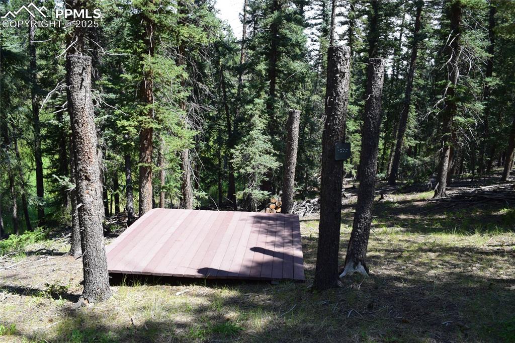 Image 37 of 41: Other