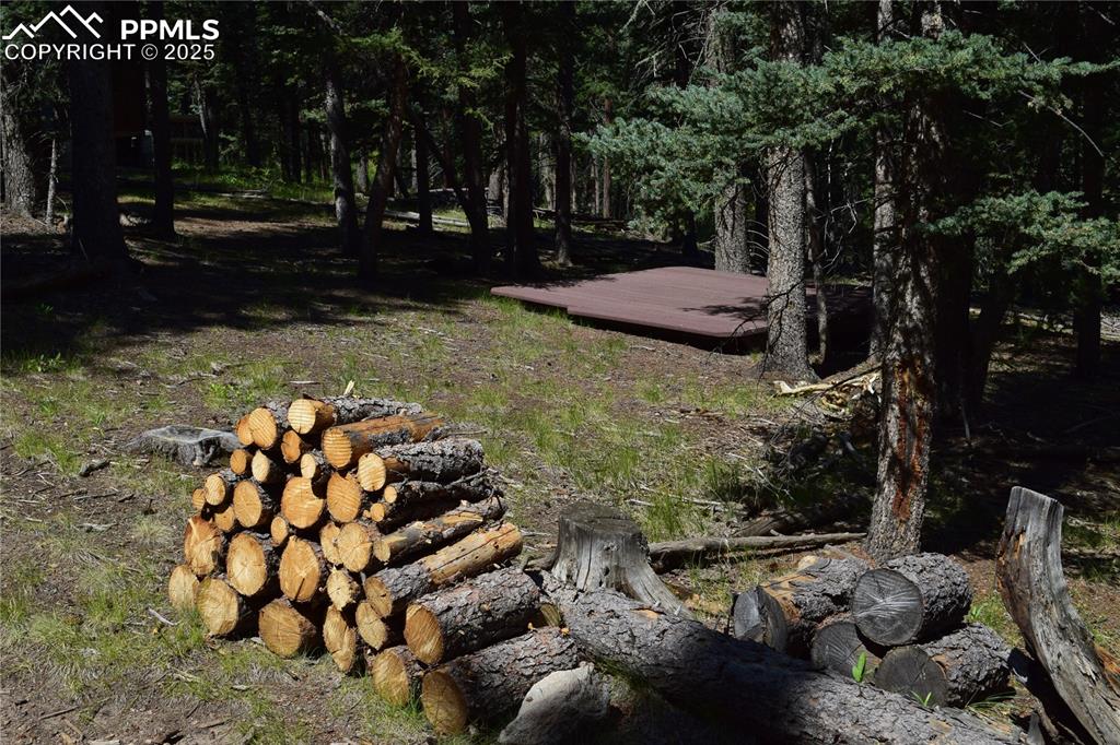 Image 38 of 41: Other