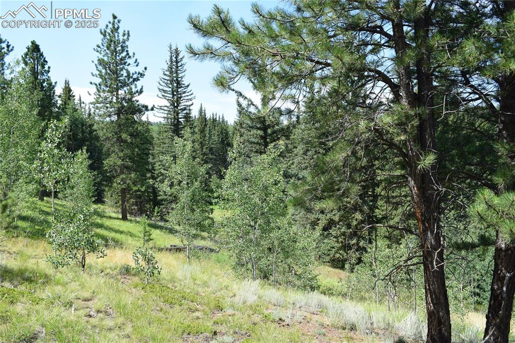 Image 39 of 41: Other