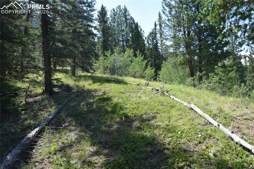 Image 40 of 41: Other