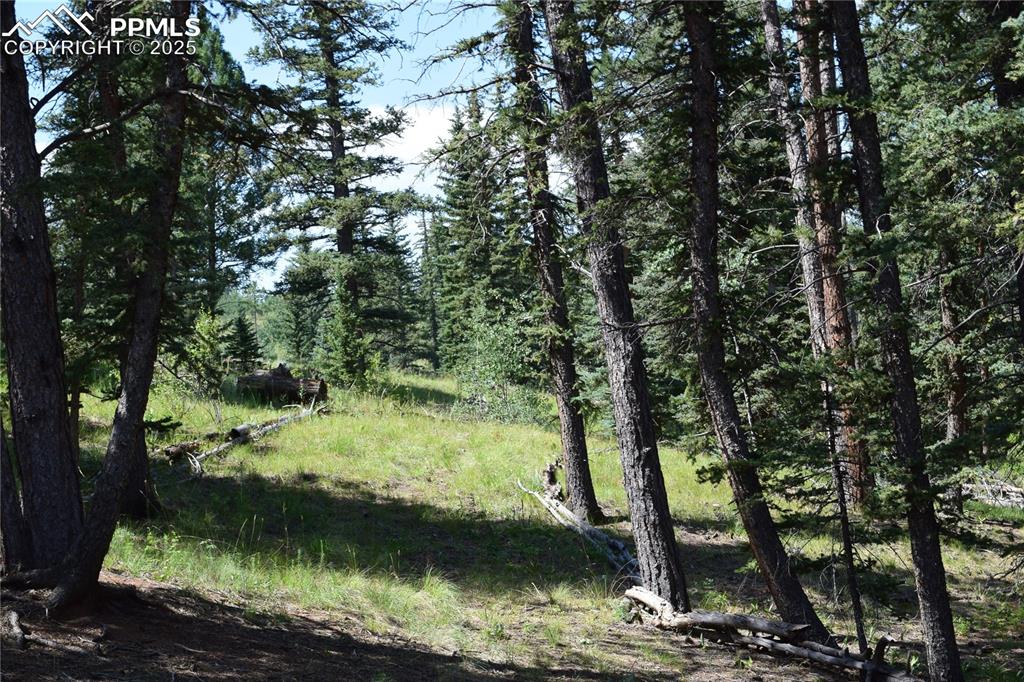 Image 41 of 41: Other