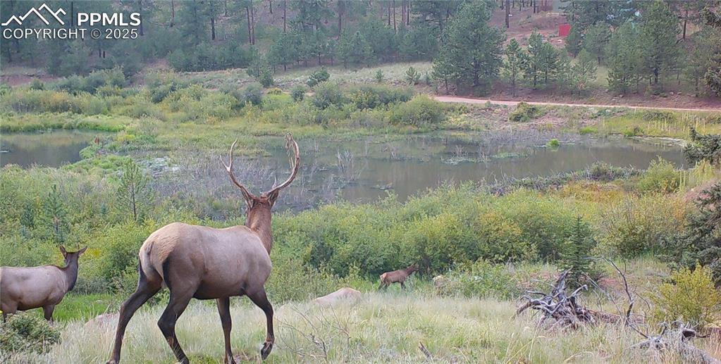 Image 5 of 41: Other