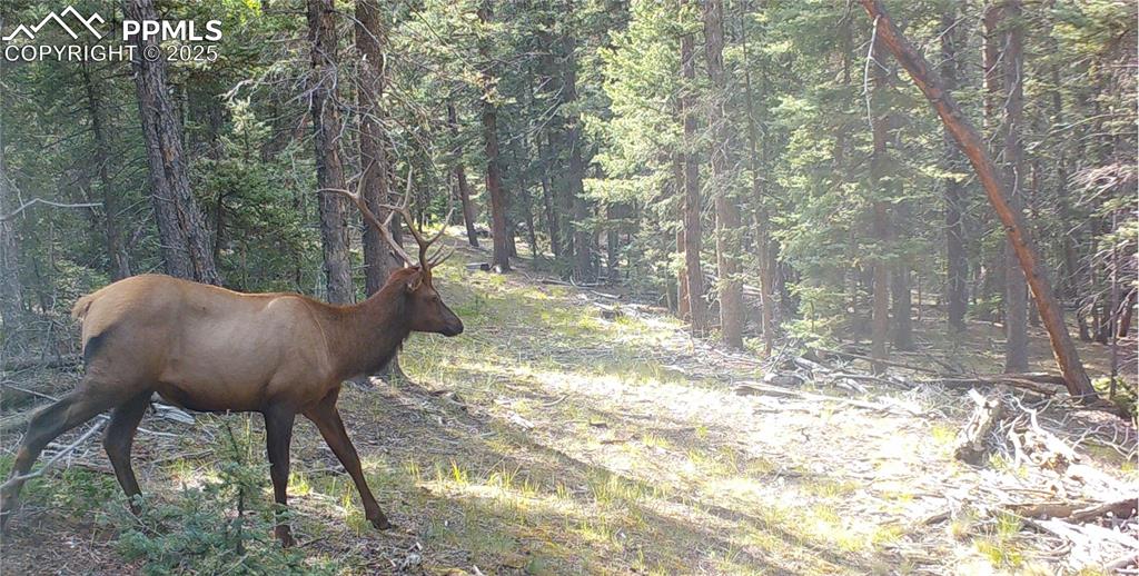 Image 6 of 41: Other