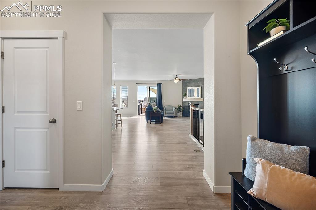 Image 3 of 50: Other