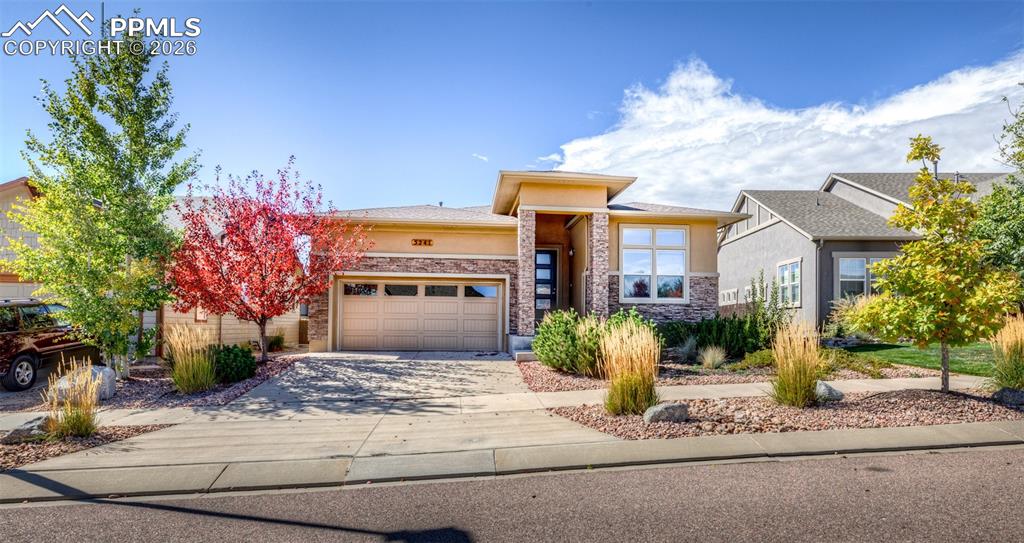 Image 49 of 50: Front of Structure