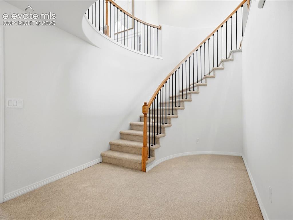 Image 37 of 48: Curved staircase featuring carpeted treads, a wooden handrail, and black me